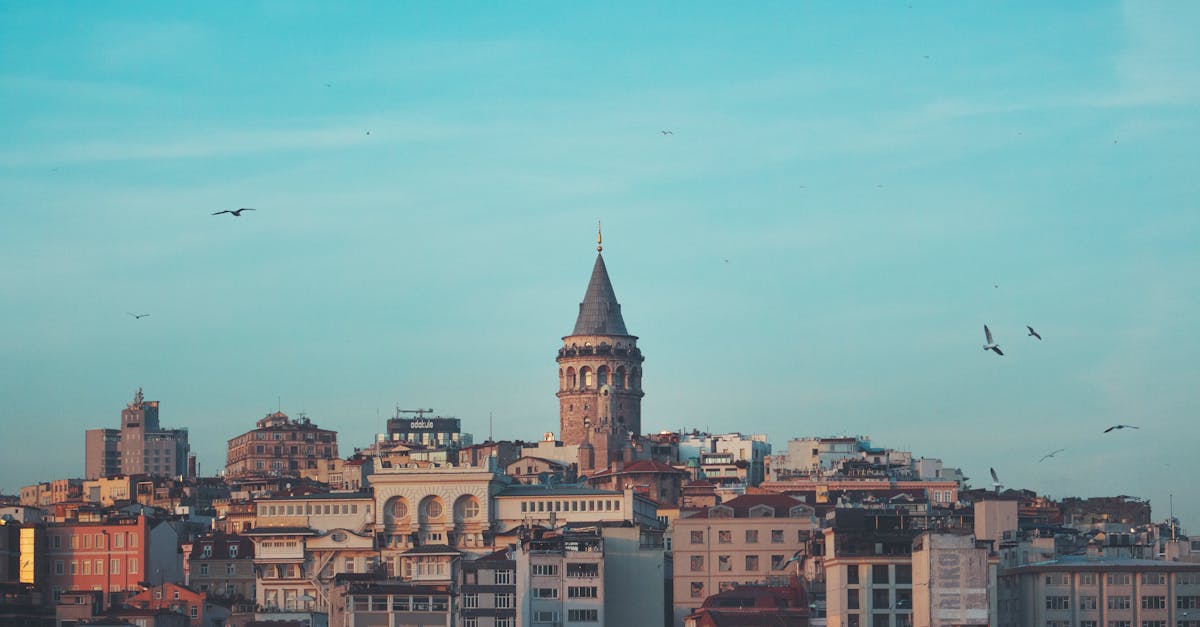 istanbul-escort-319.jpeg