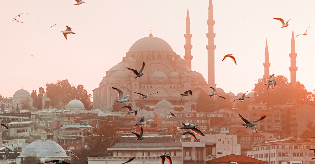 istanbul-escort-232.jpeg