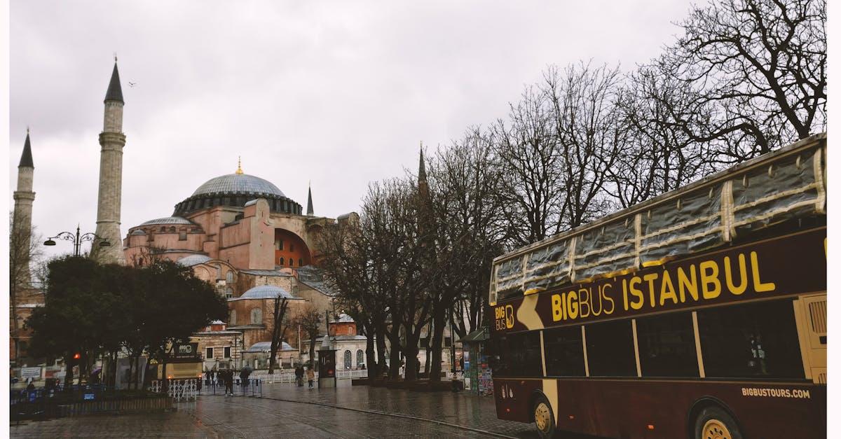 istanbul-escort-767.jpeg